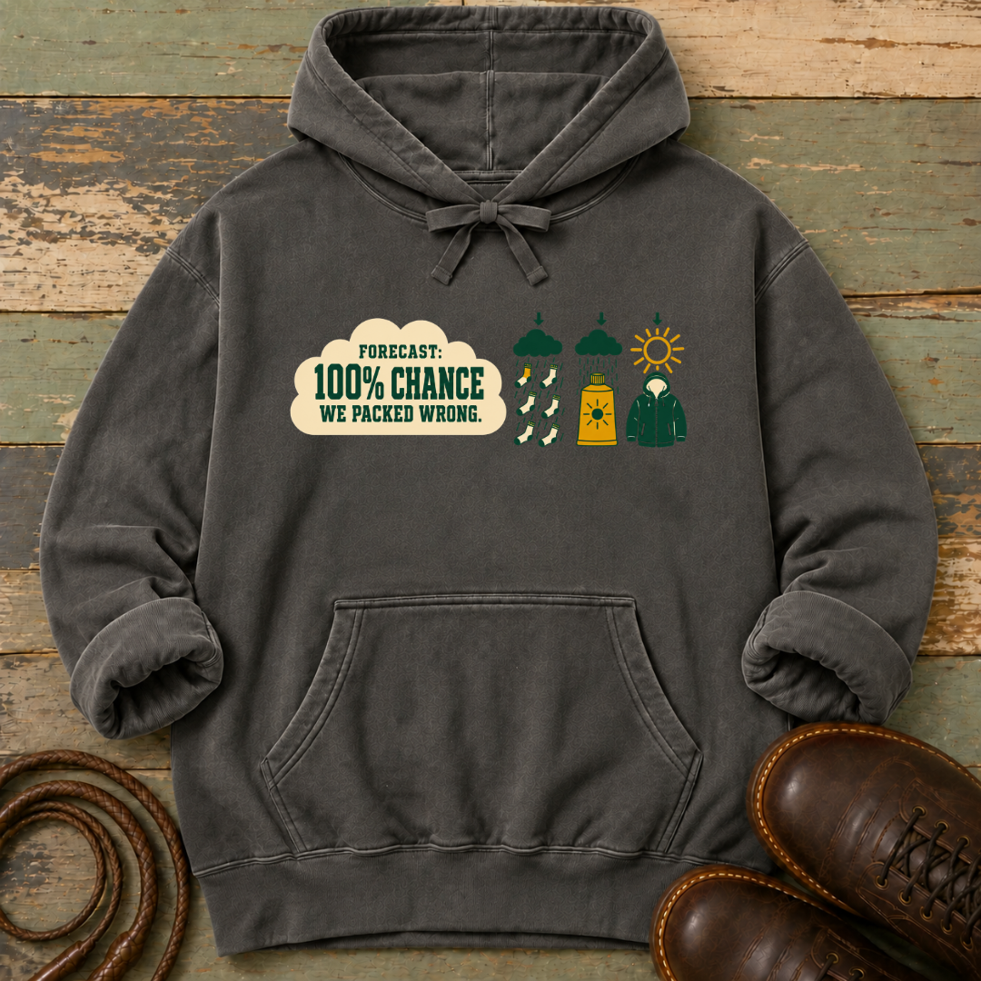 Forecast 100% We Packed Wrong — Hoodie