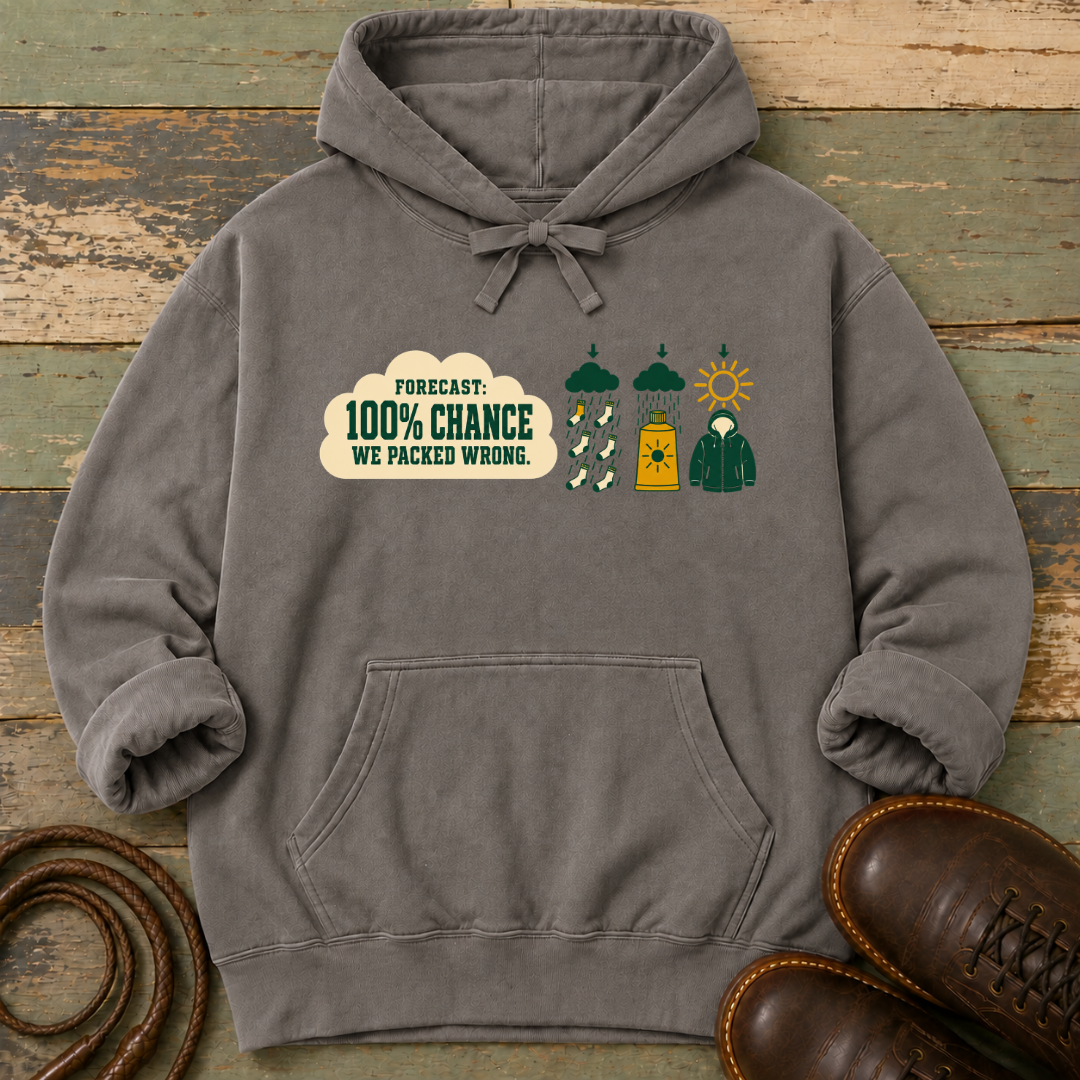 Forecast 100% We Packed Wrong — Hoodie