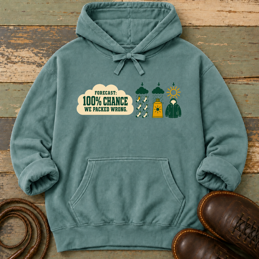 Forecast 100% We Packed Wrong — Hoodie