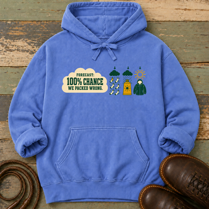 Forecast 100% We Packed Wrong — Hoodie