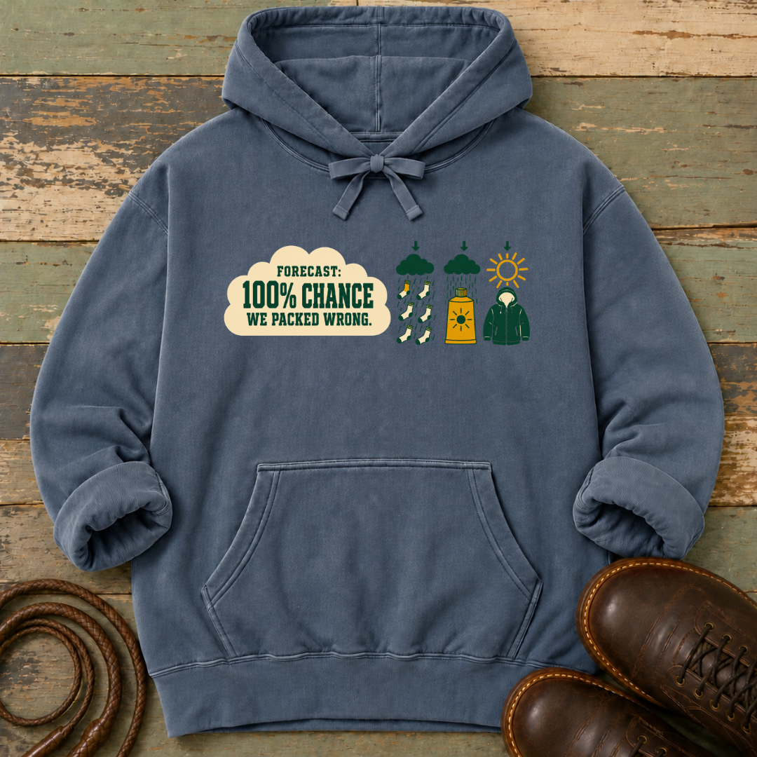Forecast 100% We Packed Wrong — Hoodie
