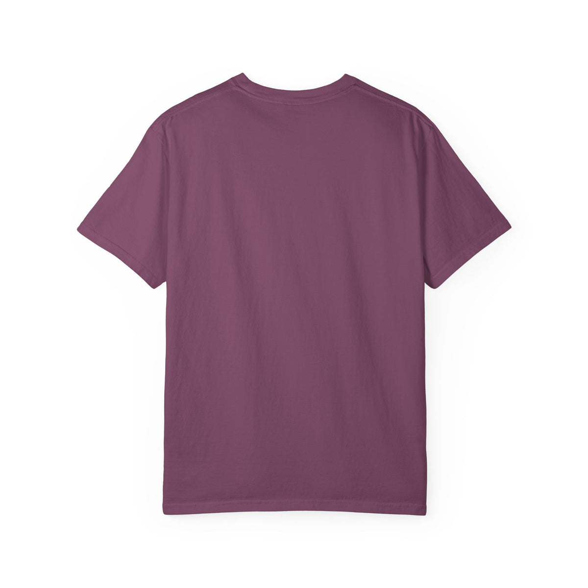 Dog Rain Gear. Negotiations Are Ongoing — T-Shirt